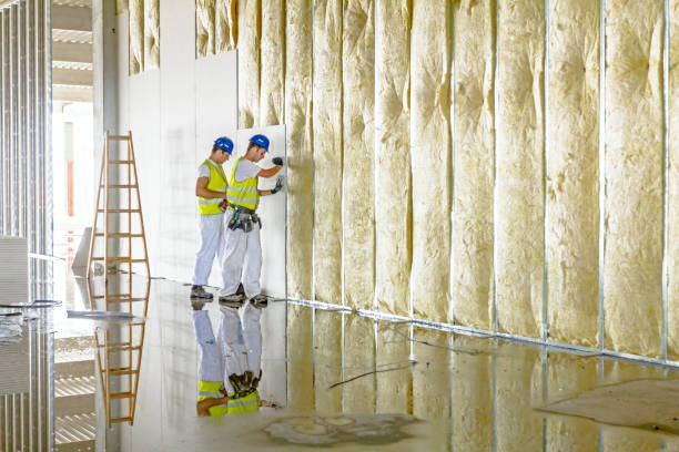 Best Basement Insulation  in , MT